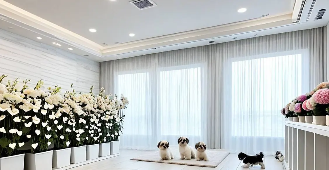 블랙푸들업체